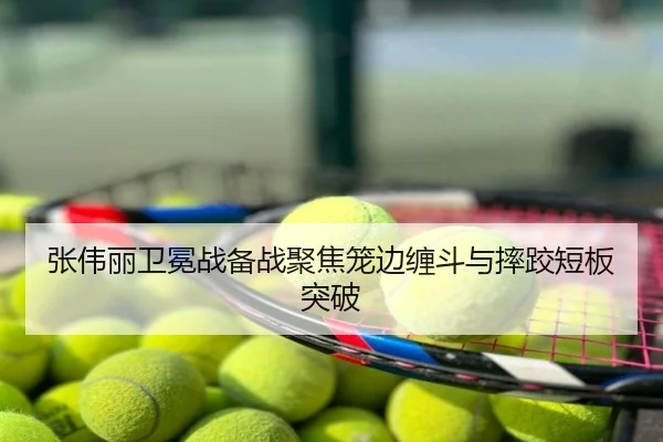 张伟丽卫冕战备战聚焦笼边缠斗与摔跤短板突破